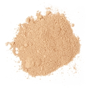 Amy Loose Mineral Foundation